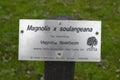 Close Up Information Sign Magnolia Ãâ Soulangeana At Amsterdam The Netherlands 2020 Royalty Free Stock Photo